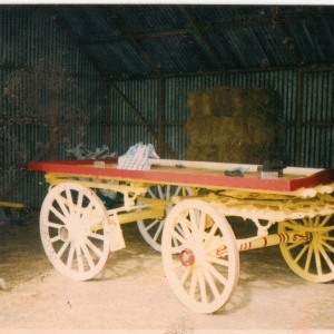 Scan47