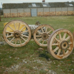 Scan55
